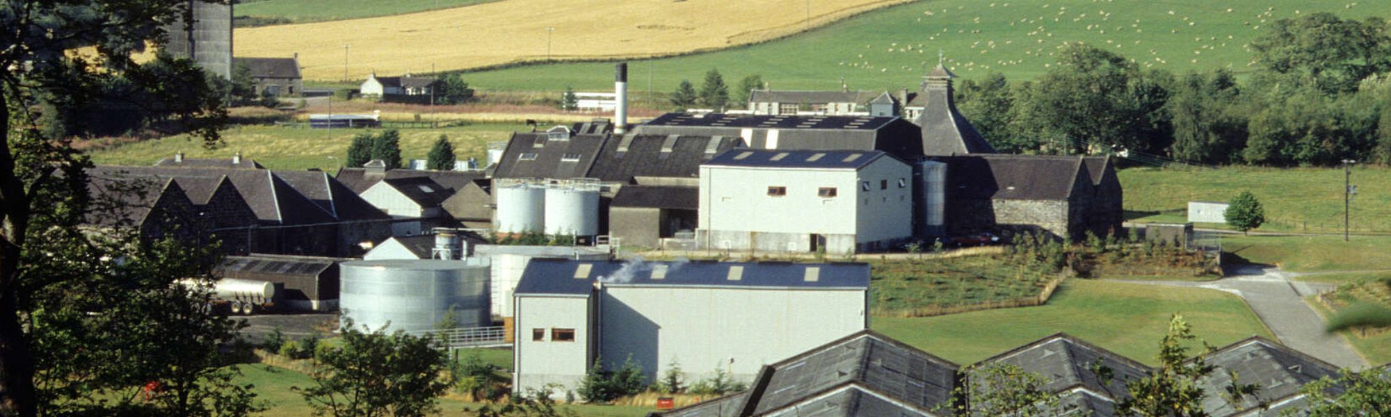 Kininvie