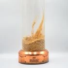 Macallan Barley Bottle Display Plinth