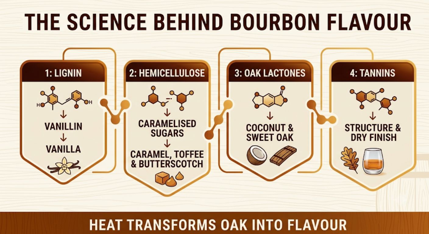 Flowchart explaining how different compounds in American white oak produce vanilla, caramel, coconut and tannin flavours during bourbon maturation.